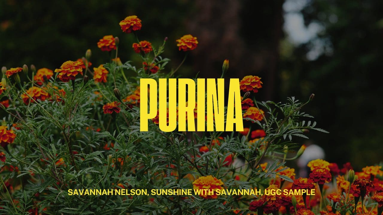 Purina