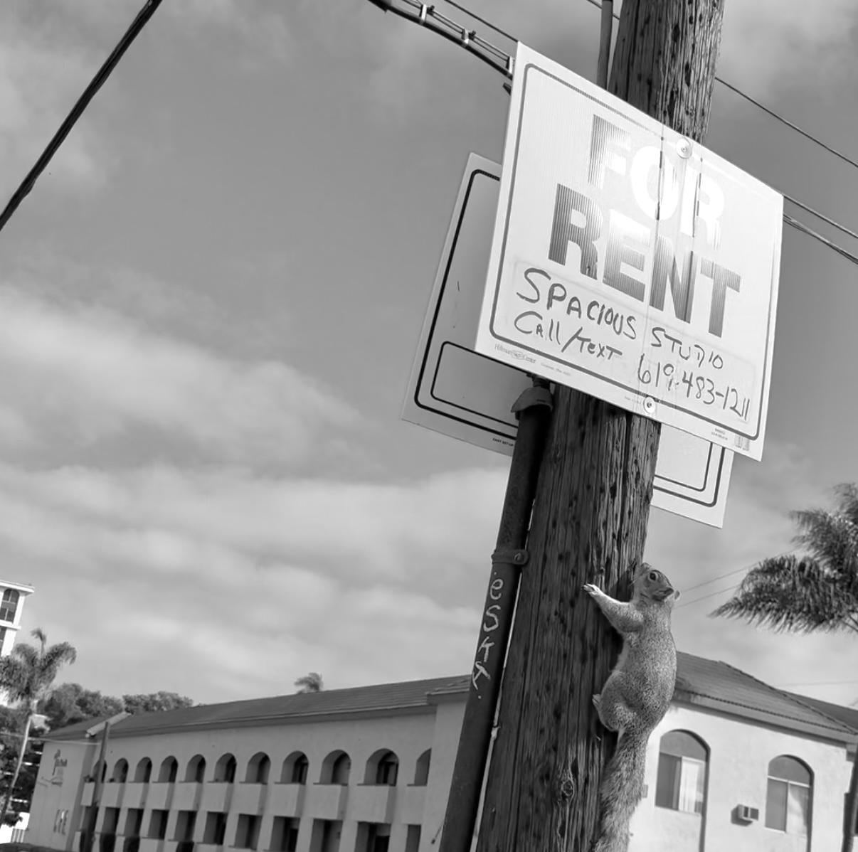 SWITCHEROO: CO-OPTING THE HOUSING CRISIS / by: Ali Mehraban Ramirez