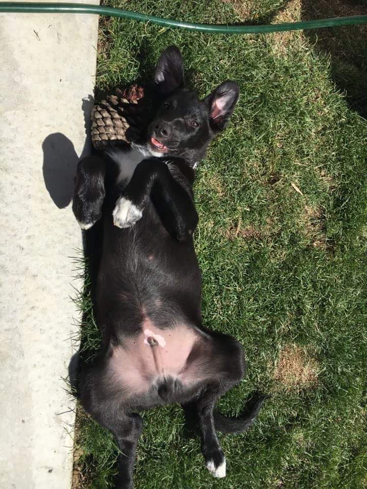 received_10153459237489372