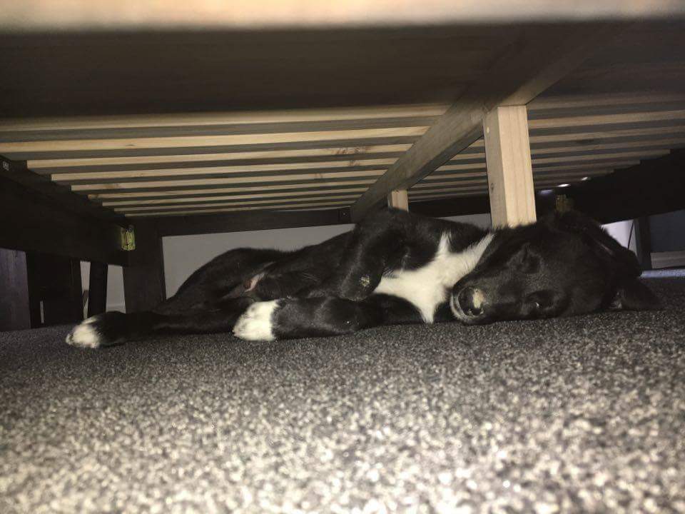 received_10153529779169372