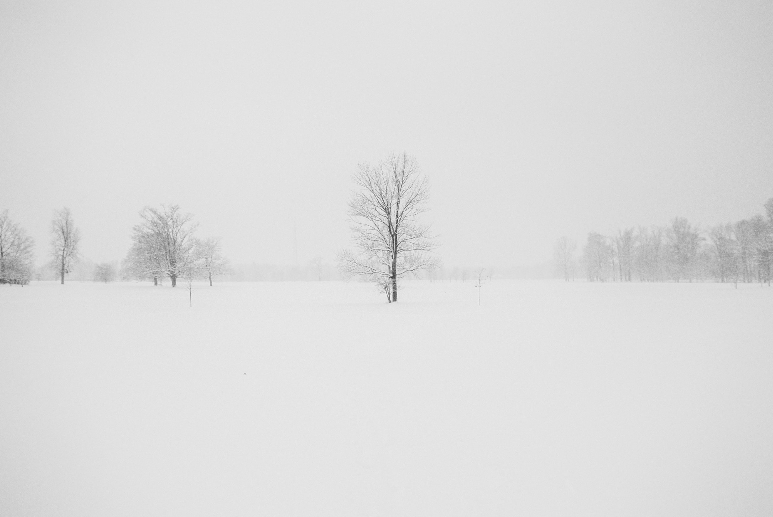 living in harmony with winter