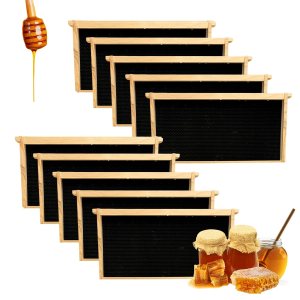 SunVara's Deep Beehive Frames