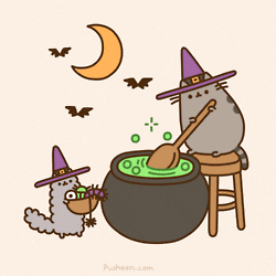 Superstitions VS Reality: What do we believe?