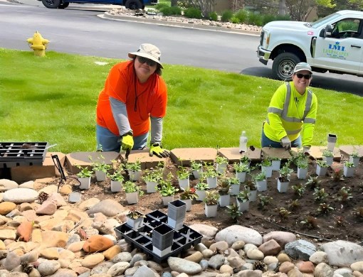 Landscape-Installation-Team