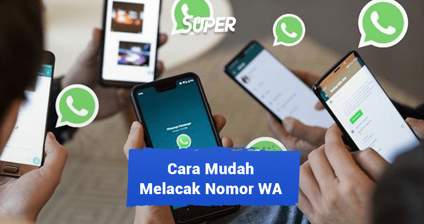 Cover Image of the Post