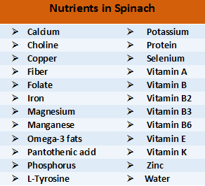 Best 6 Brain Foods For Exams Spinach Improve Memory And