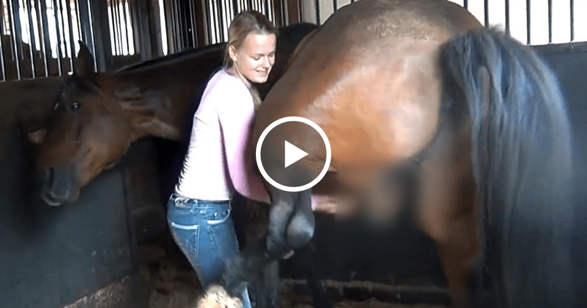 Clipuri video cu Femei care se fut cu caini - SuperClipuri.com 