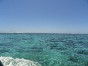 background blur blurred apps adding