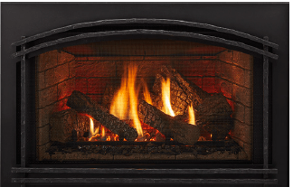 Excursion Fireplace Insert