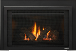 PROVIDENT Fireplace Insert