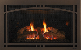 Ruby Fireplace Insert