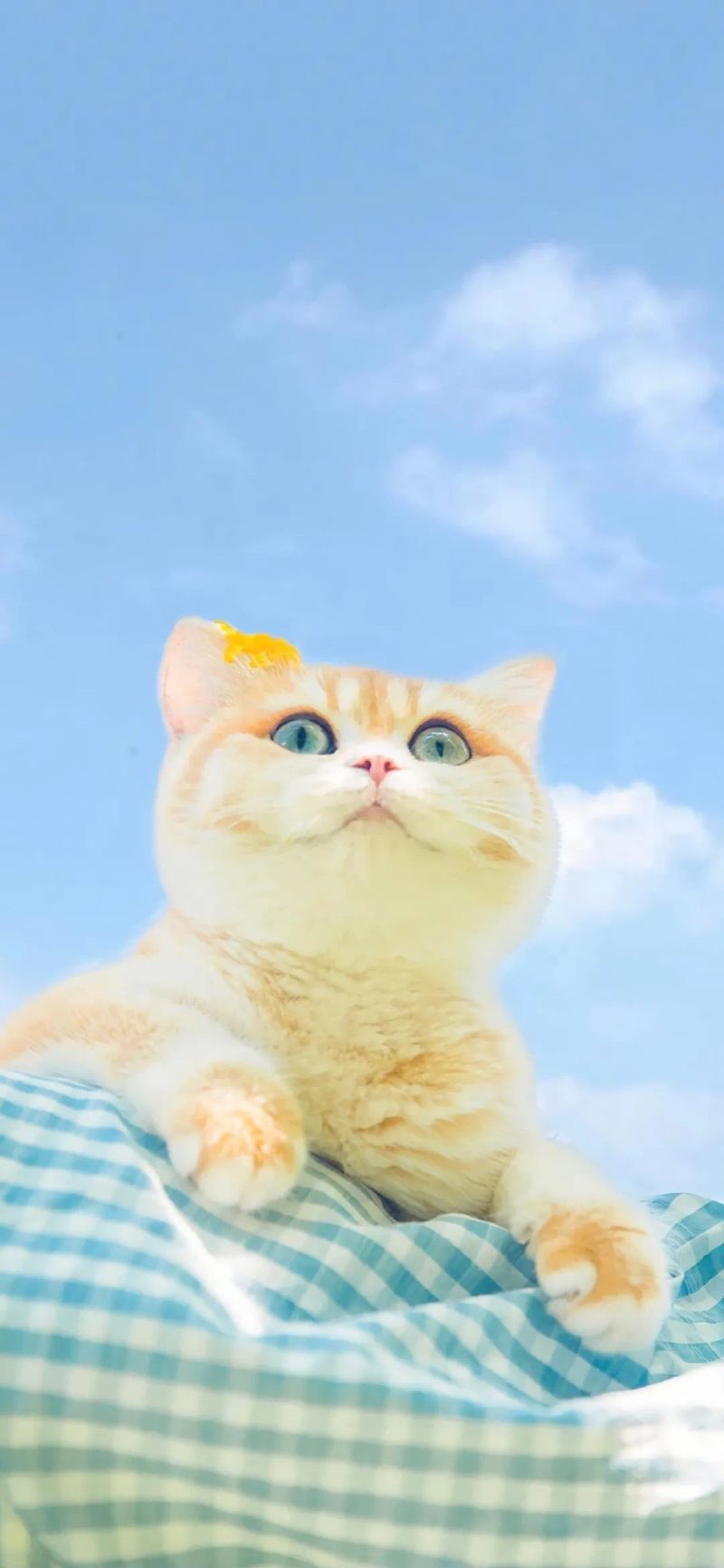 Github Kirk Github - Ultra HD Space Image - 4K