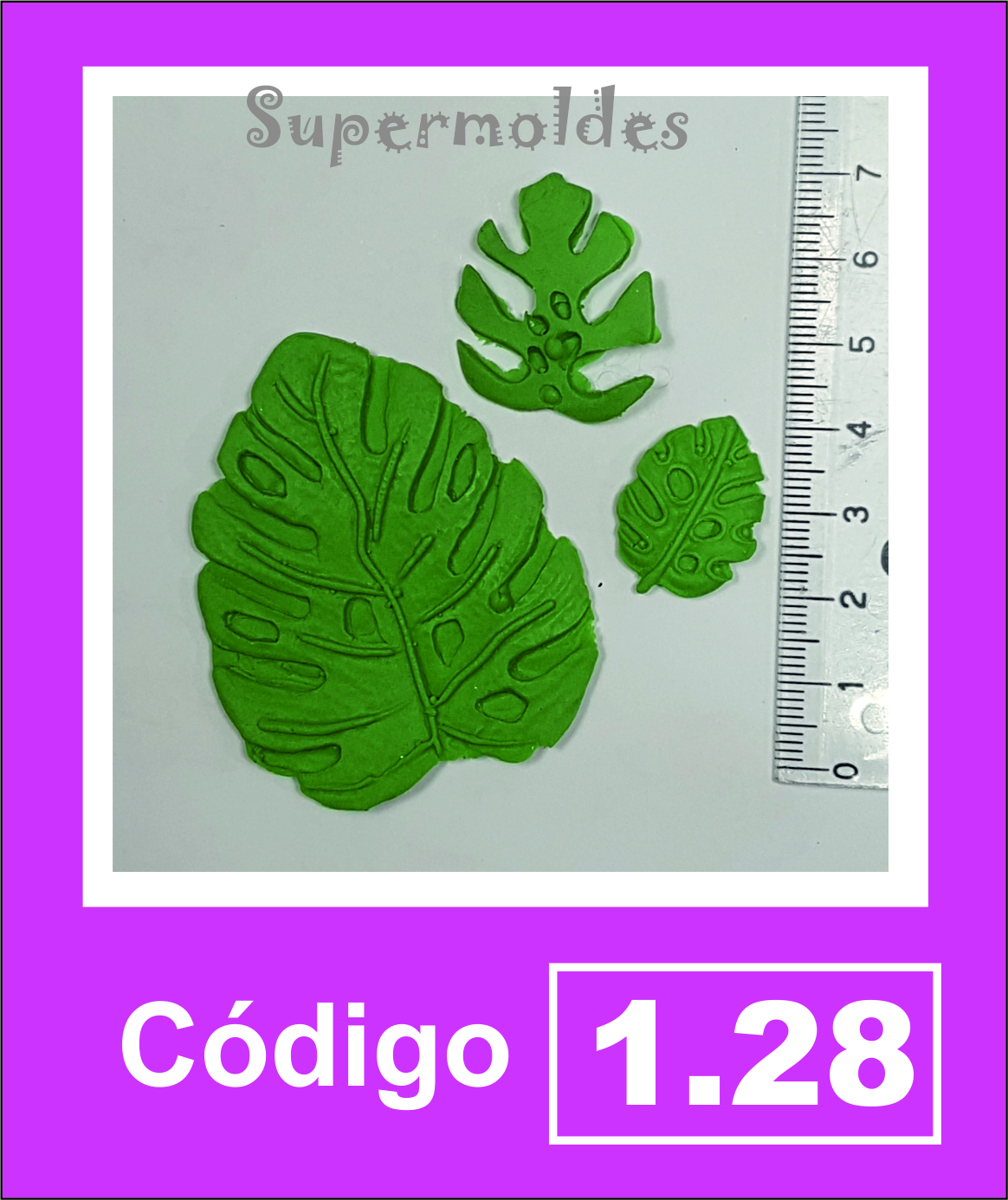 Hojas Costilla de Adan 3 tamaños