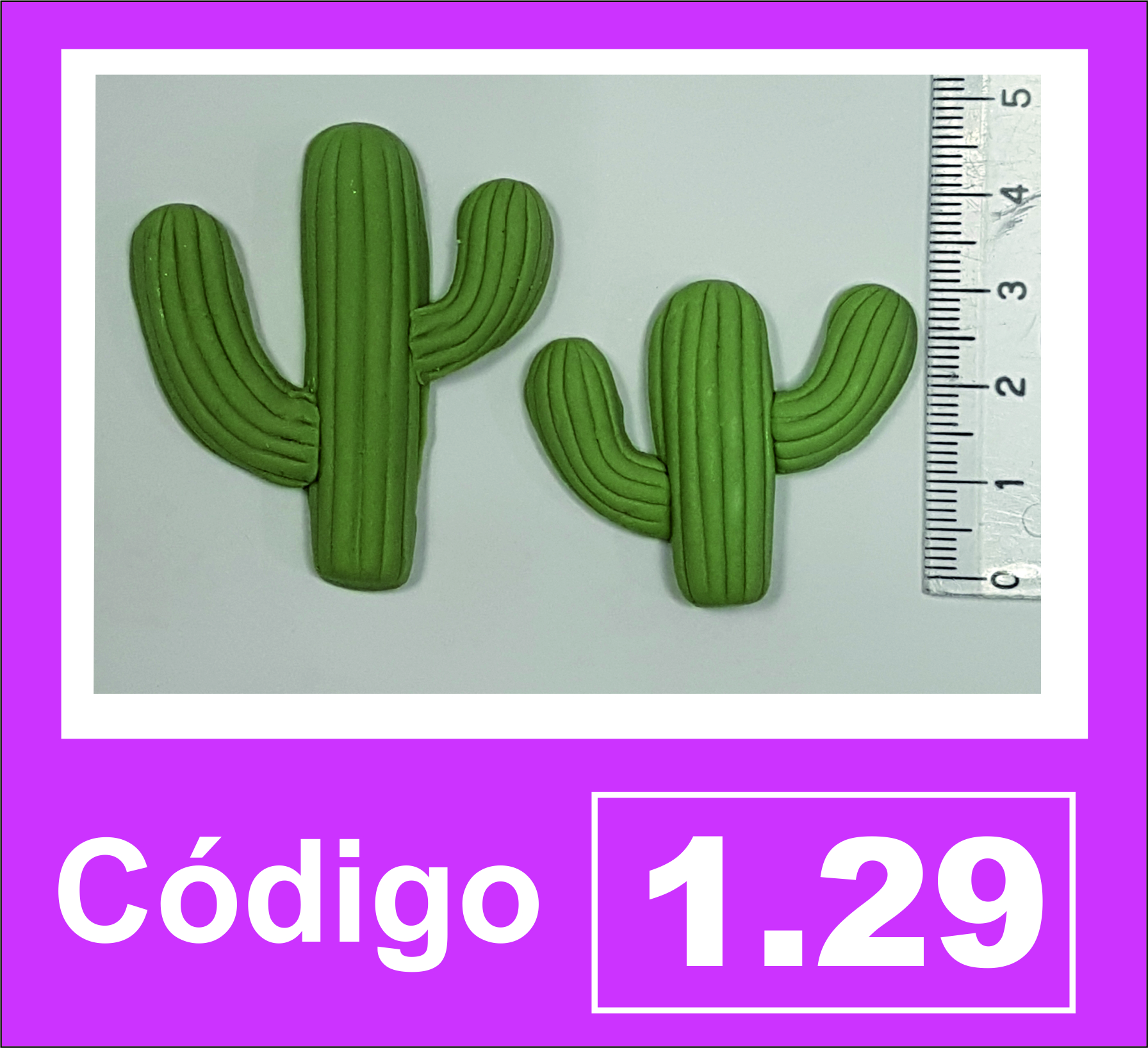Cactus recto combinable