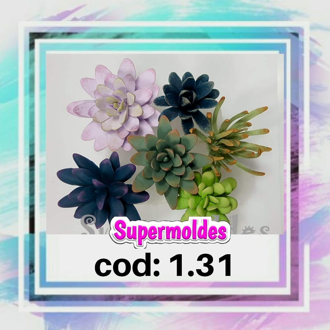 SUCULENTAS COMBINABLE