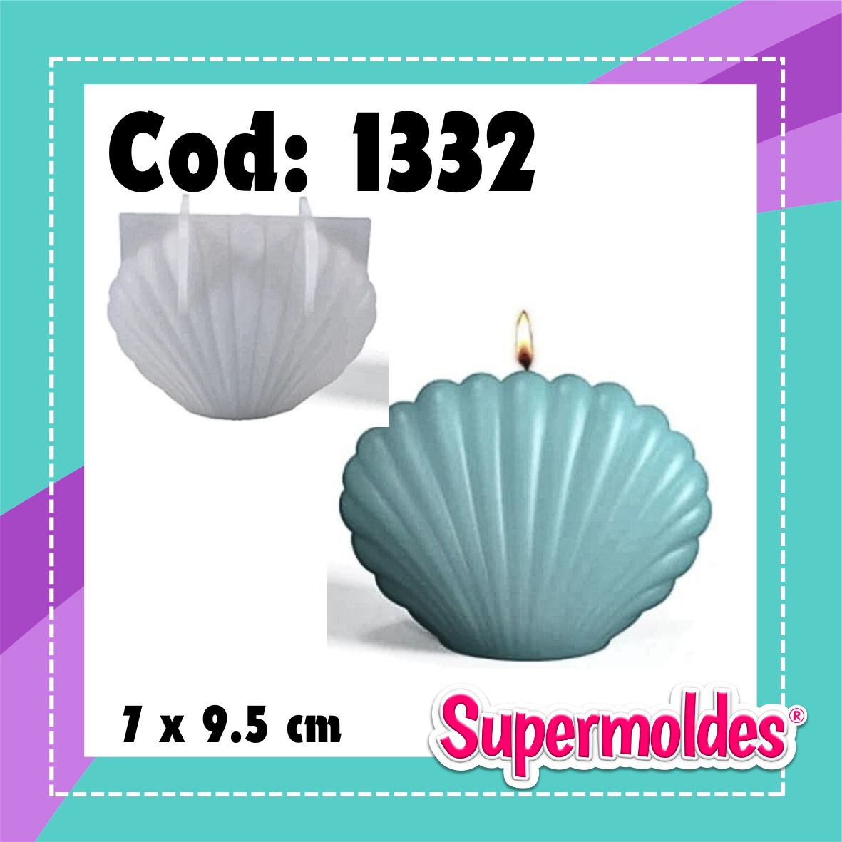 Vela venera del mar, ostra 7x9,5 cm (chino)