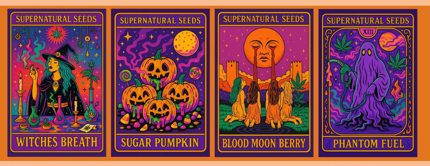 Halloween cannabis strains collection 2025 bundle – Blood Moon Berry, Phantom Fuel, Witches Breath, Sugar Pumpkin