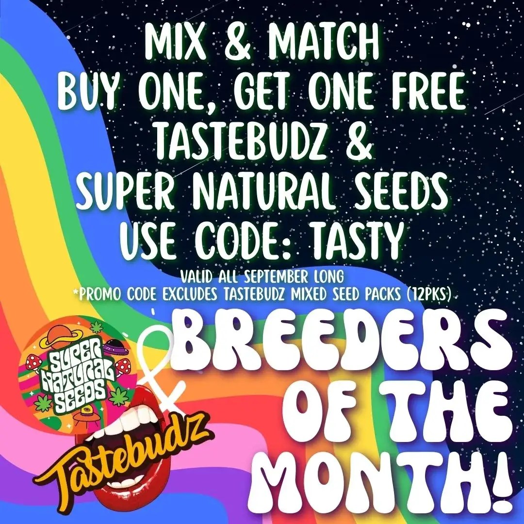 Supernatural Seeds BOGOF Breeder of the Month Seed Cellar USA