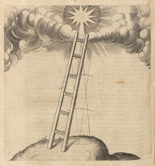 Fludd ladder