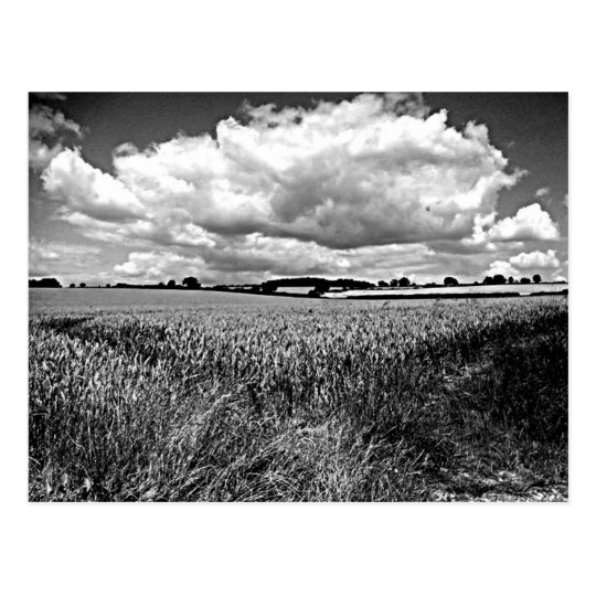 Card - Harvest Fields, Moody Clouds