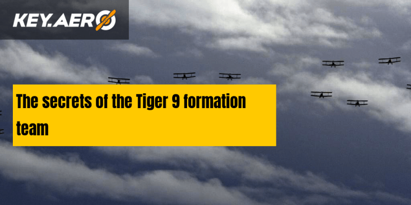 Tiger Nine Formation Team - Geometric Wallpaper Collection - Desktop Quality