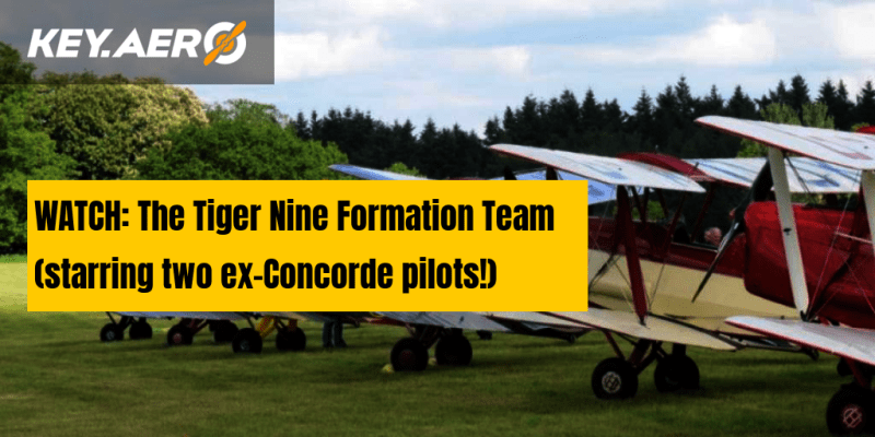 Tiger Nine Formation Team - Ultra HD Minimal Pictures for Desktop