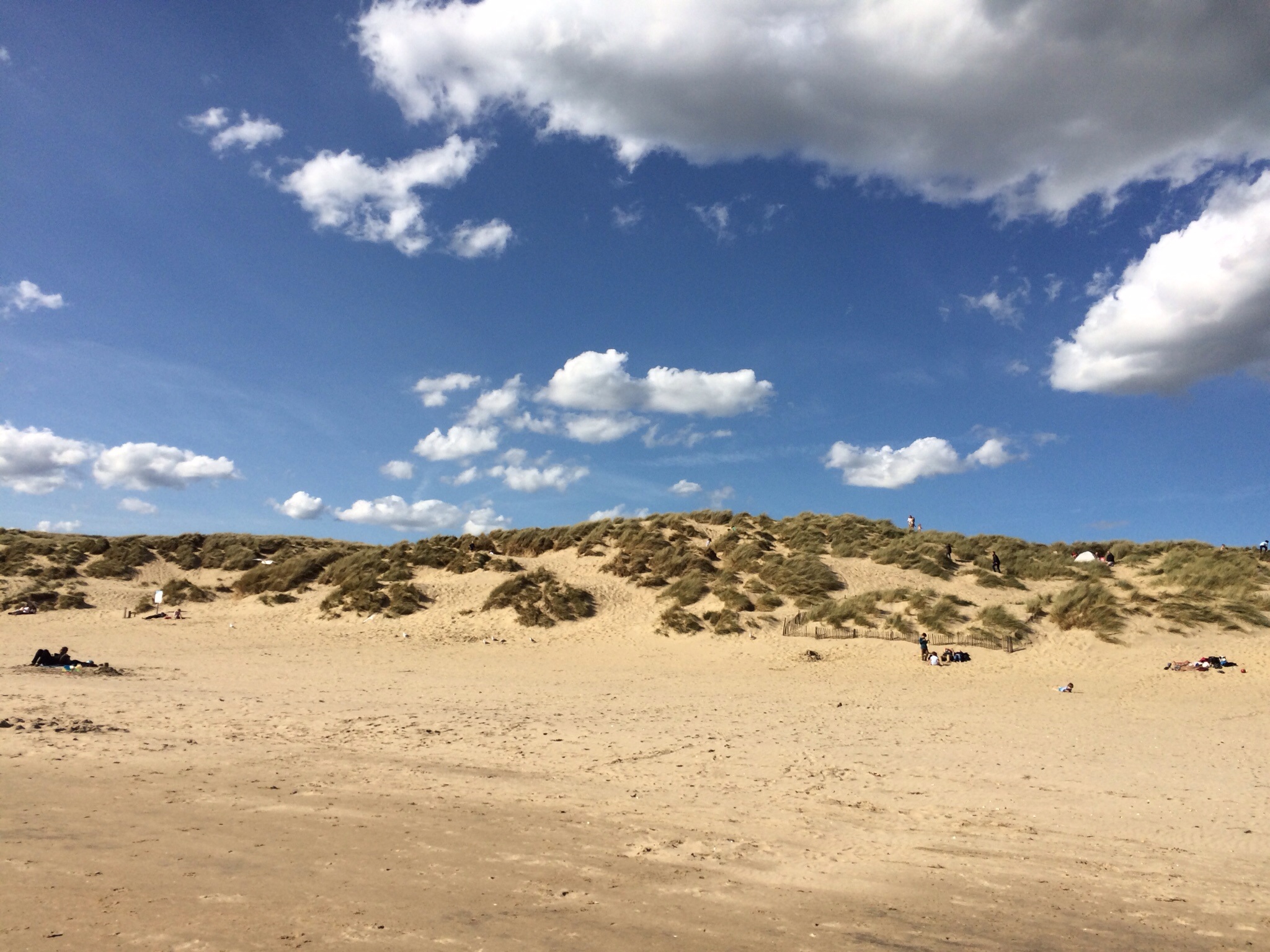 Camber sands