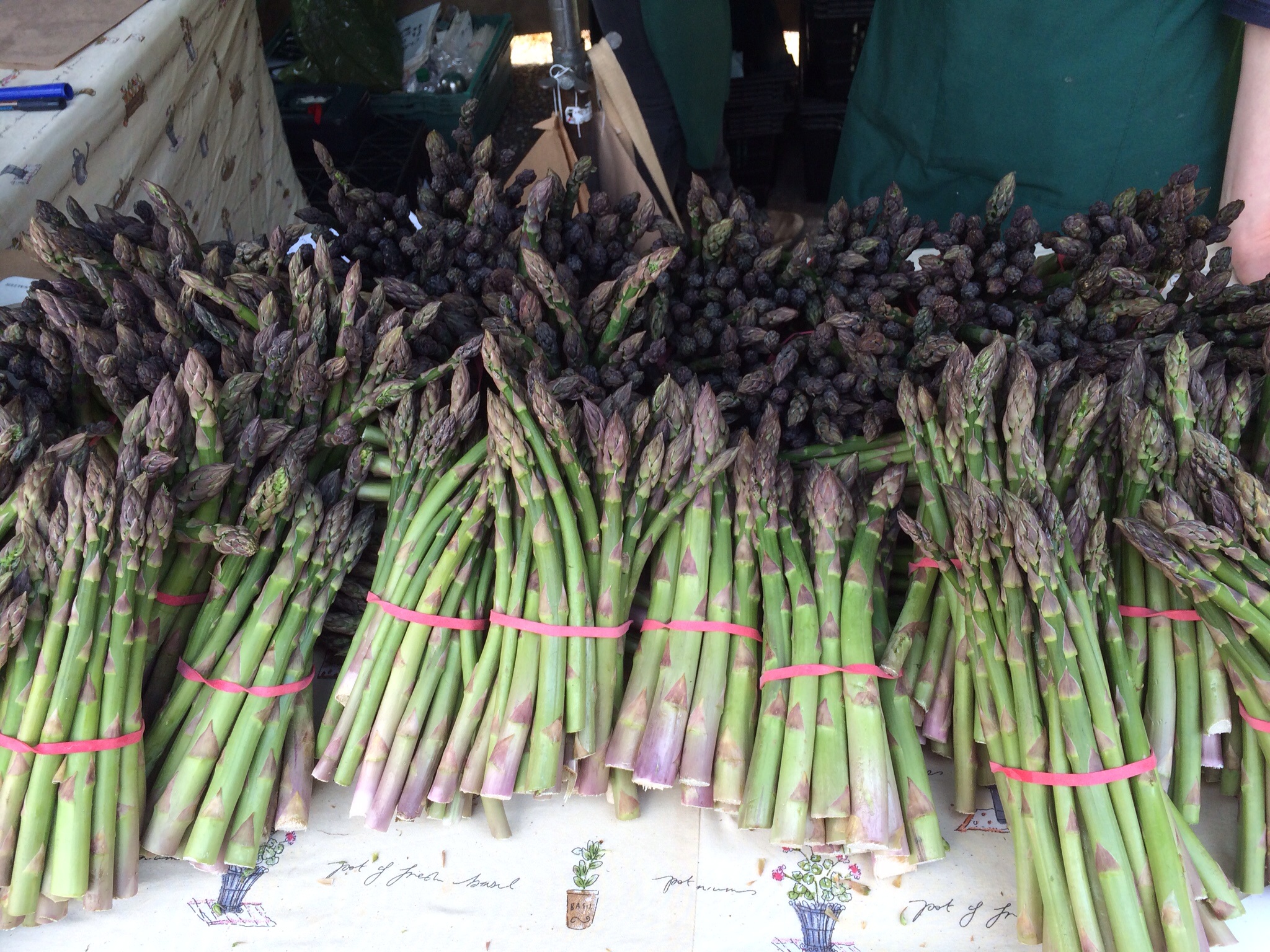 Asparagus