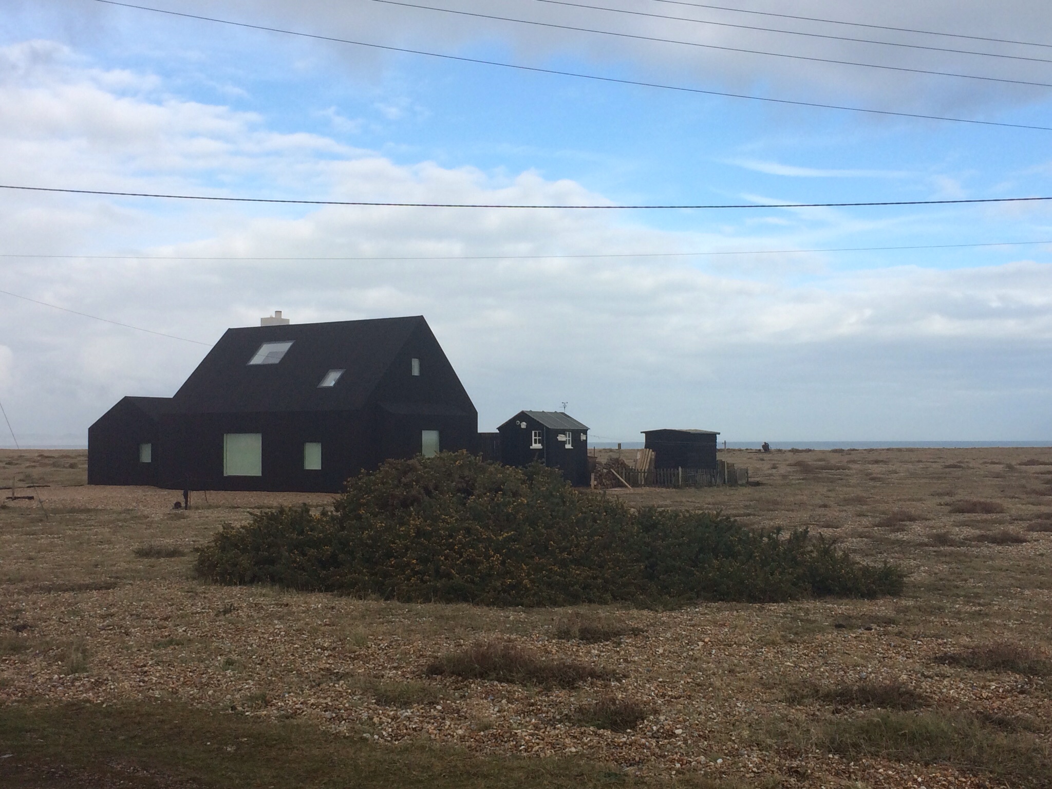 Dungeness