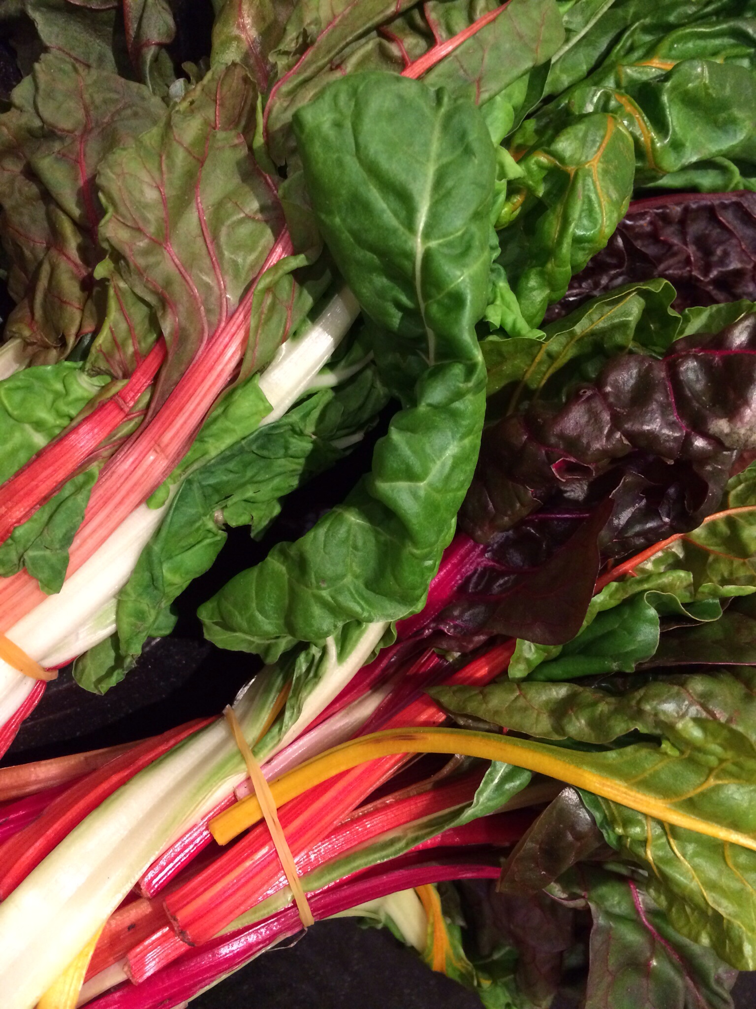 Fresh rainbow chard