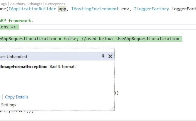 System.BadImageFormatException: Bad IL Format. #6539 | Support Center ...