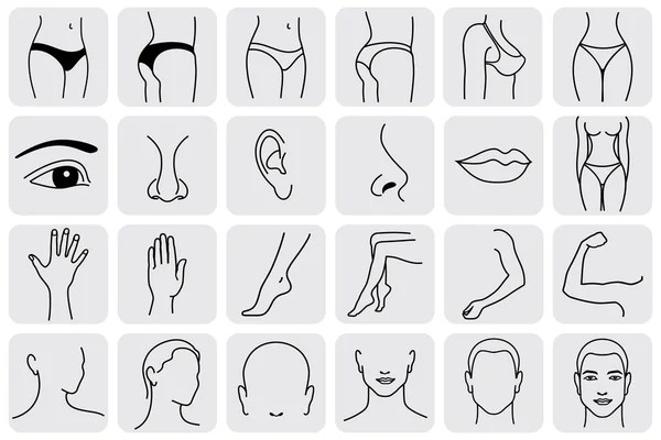 External Parts of Human Body