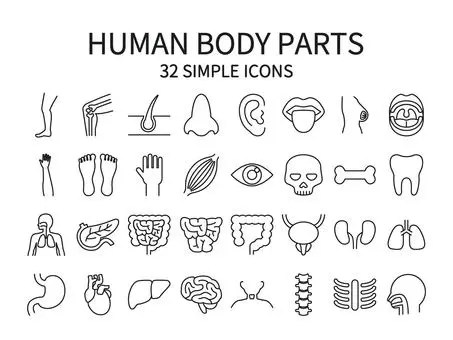 Parts of Human Body