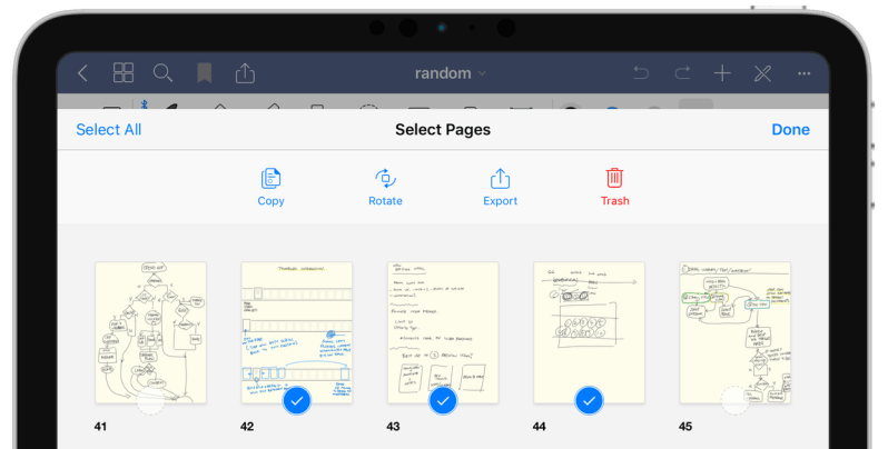 Importing And Exporting Files Into Study Sets Goodnotes Support - Elegant Full HD Nature Illustrations | Free Download