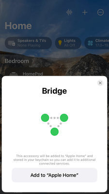 Matter Support - Premium Ultra HD Nature Illustrations | Free Download