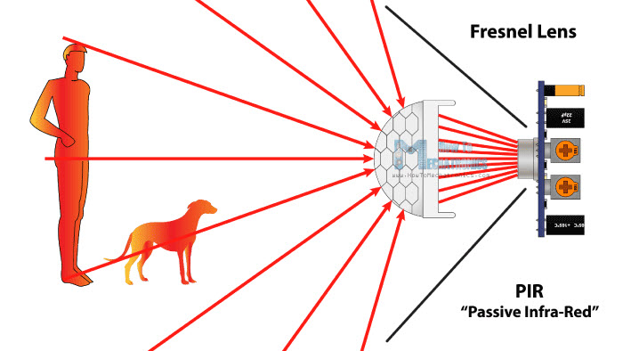 They contain a wire coil treated with platinum. What is PIR Motion Sensor - Reolink Support