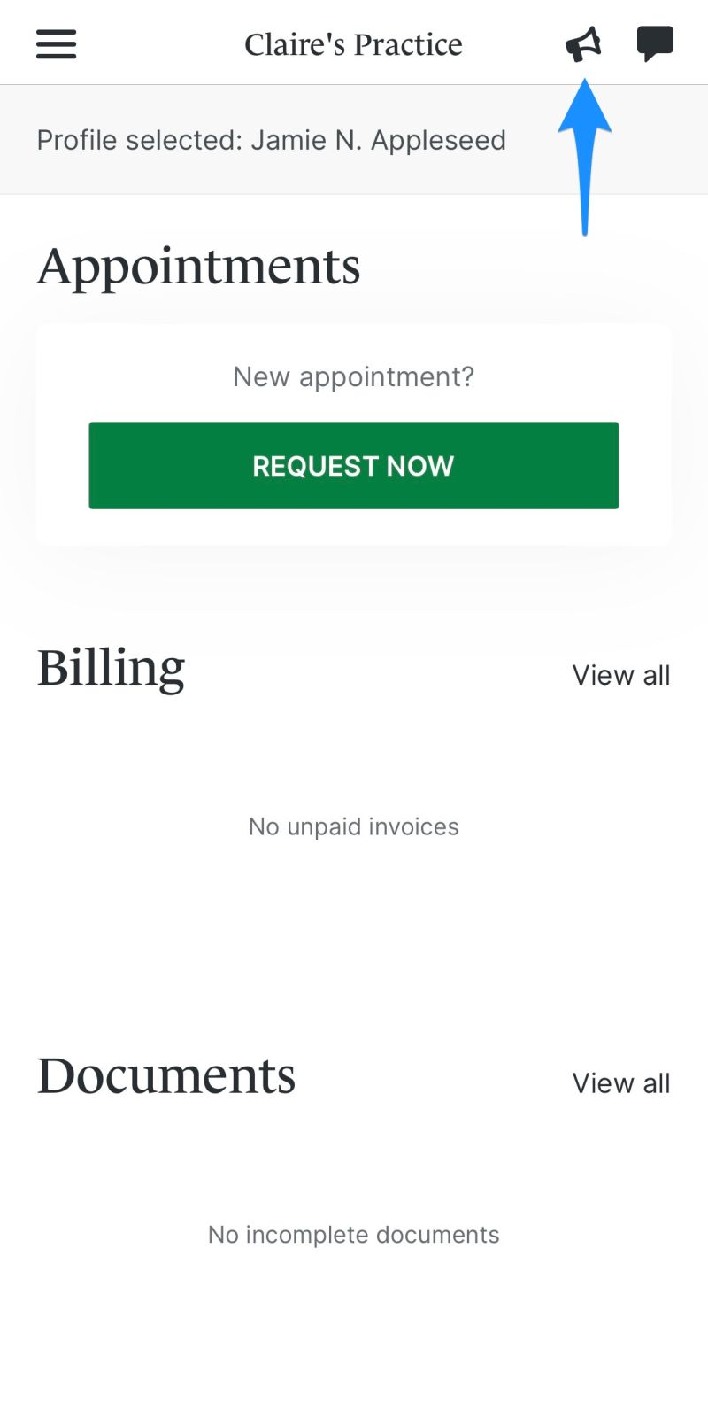 Client Portal App Practice - Mountain Patterns - Professional Desktop Collection
