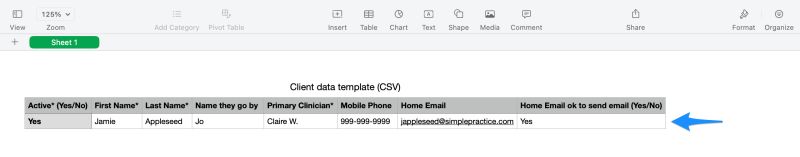 Export Client Data Simplepractice Support - Ultra HD Light Texture - Desktop