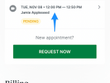 Managing Appointments On The Simplepractice Client Portal Mobile App