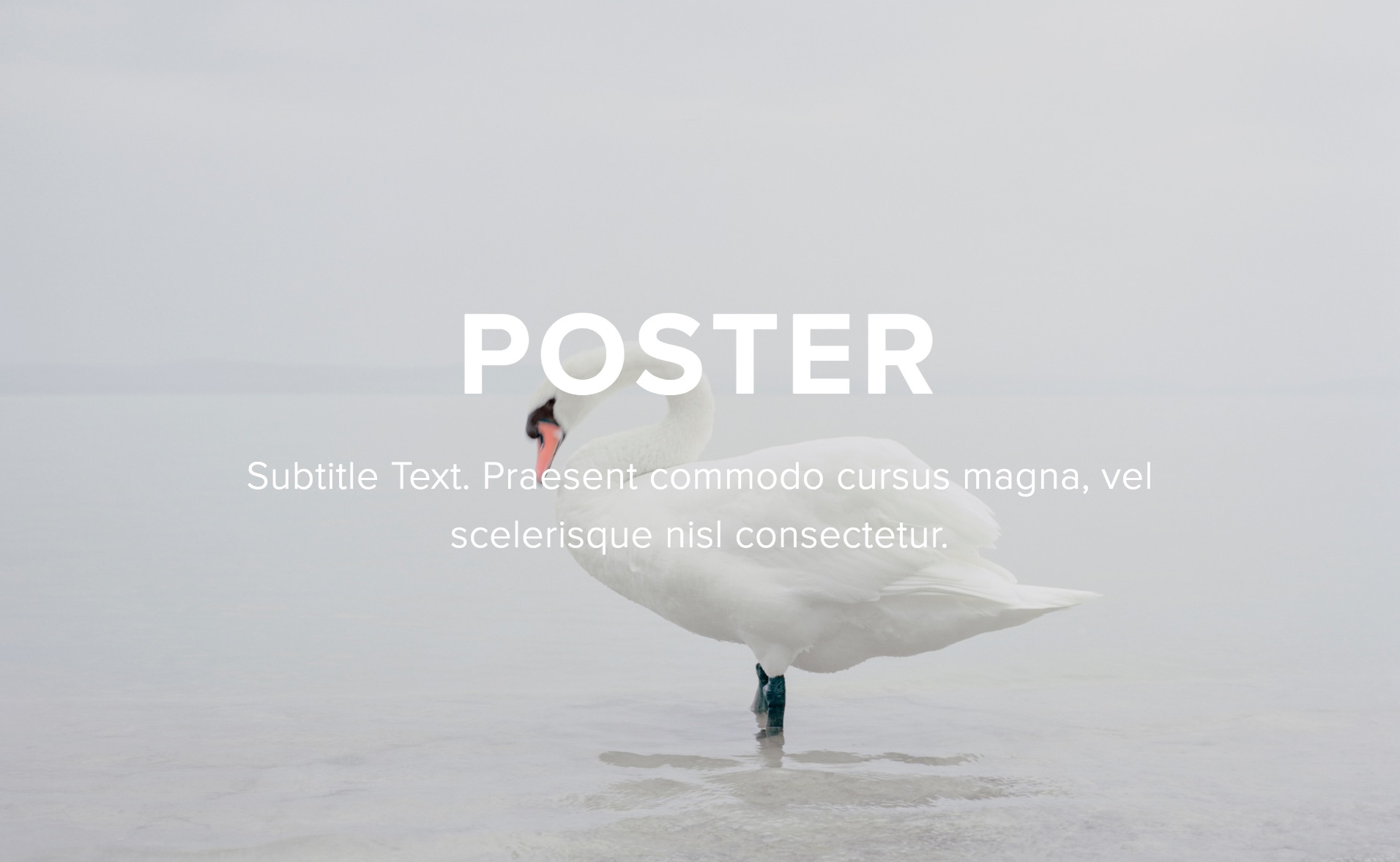 Gratuito immagini Blocchi Immagine Squarespace il piu cool saluti