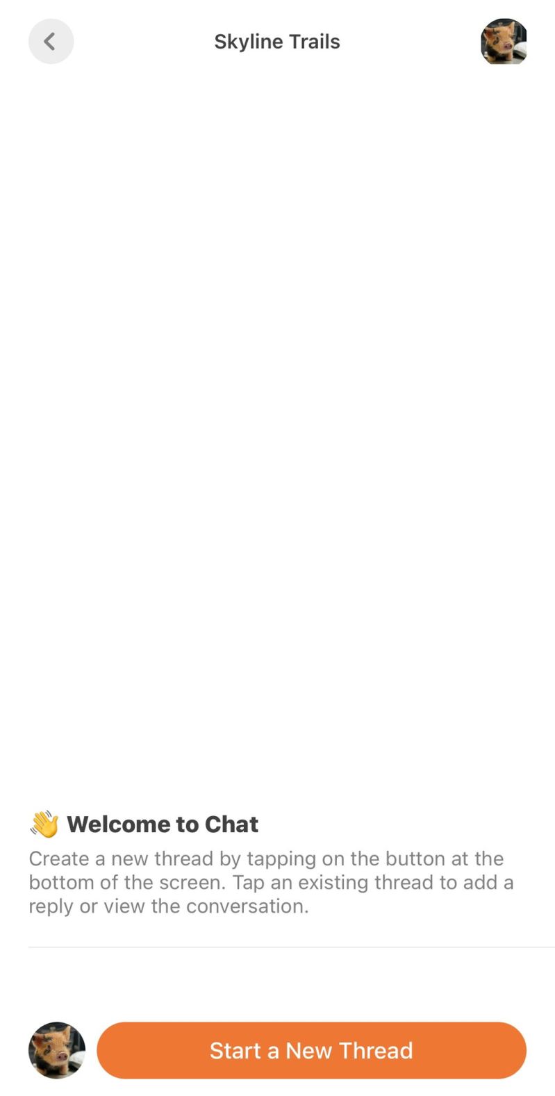 How Do I Enable Chat On My Substack Substack Inc - Download Modern City Picture | High Resolution