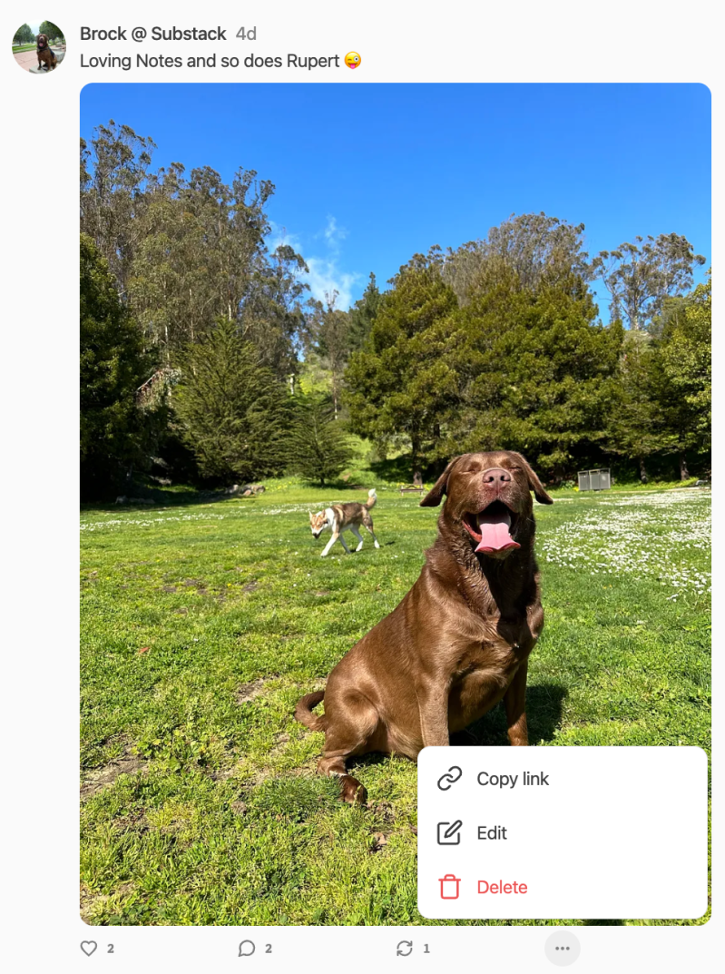 How Do I Edit Or Delete A Note On Substack Substack Inc - Elegant Vintage Background - Retina