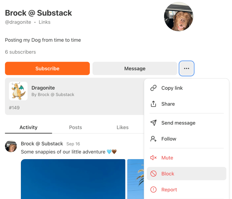 How Does Following Work On Substack Substack Inc - Best Mountain Arts in Full HD