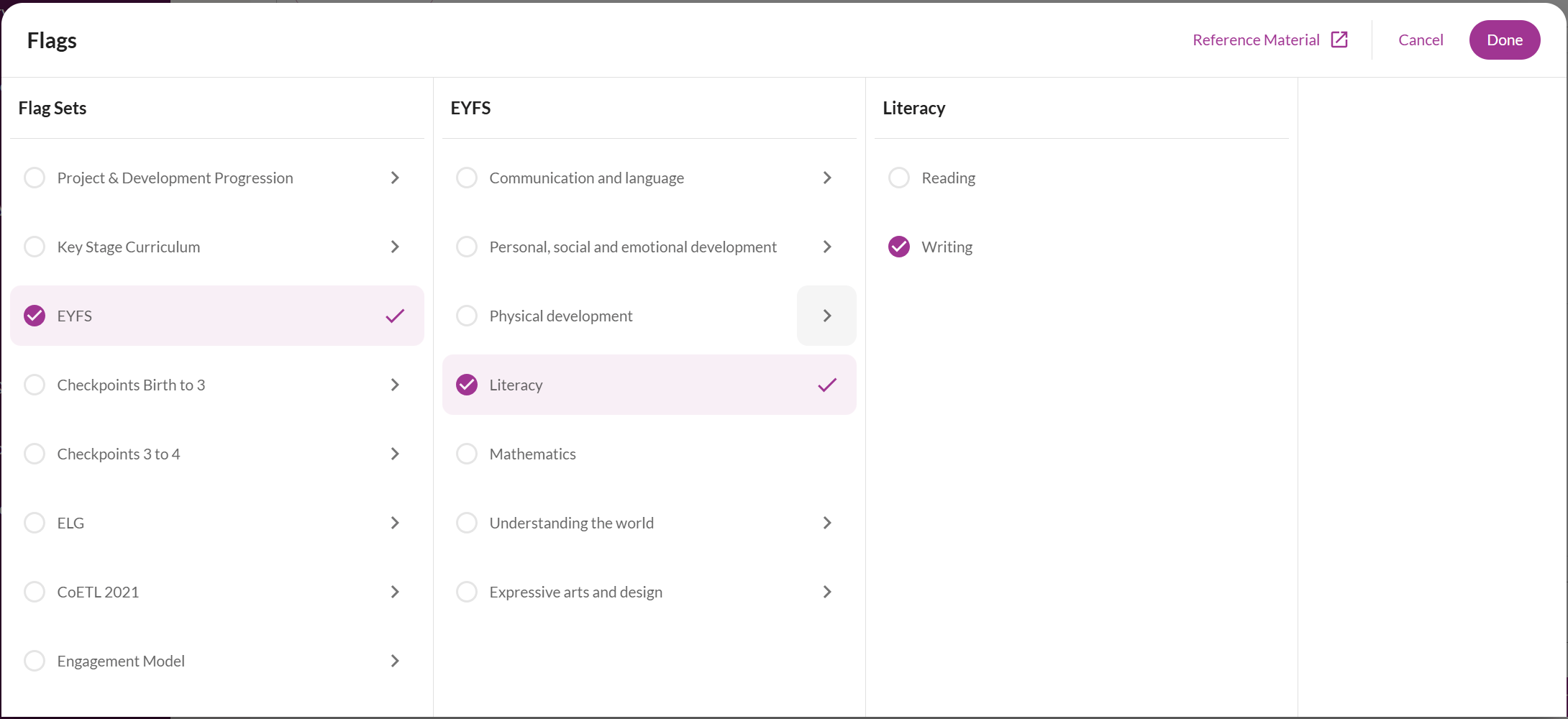screenshot from Tapestry showing how to select EYFS flags on an observation