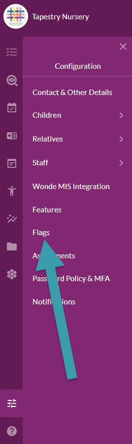 Screenshot highlighting the Flags section.