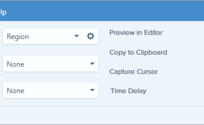 Capturing A Dropdown Menu In Snagit Windows – TechSmith Support