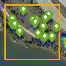 Tutorial Offline Treeplotter Support - Classic 8K Geometric Images | Free Download