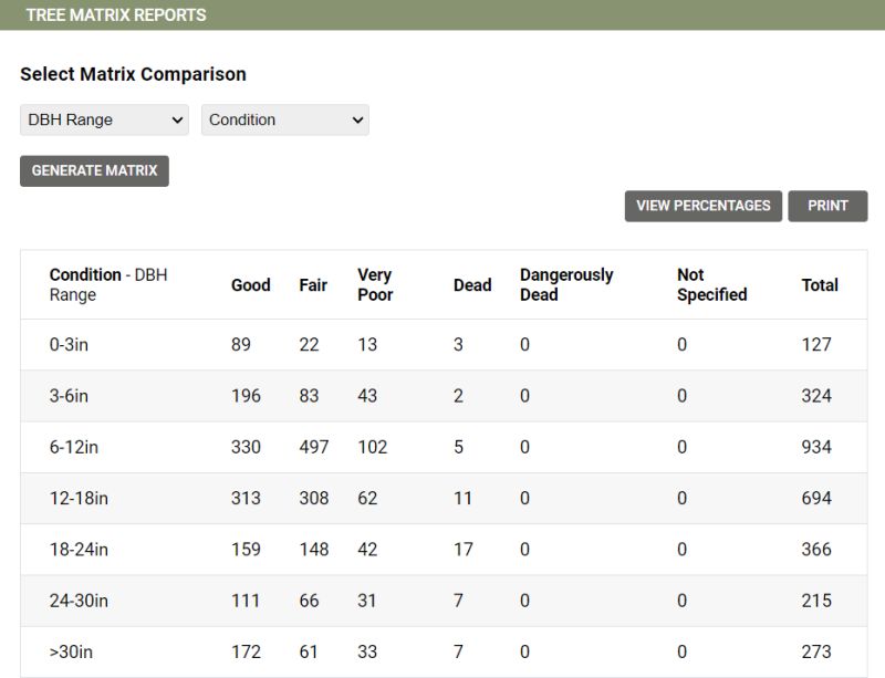 Tutorial Matrix Reports Treeplotter Support - Ultra HD Vintage Photo - Ultra HD