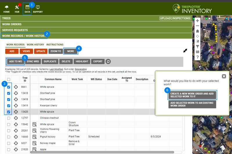 How To Add Work Records Using The Data Table Treeplotter Support - Gorgeous Geometric Pattern - High Resolution