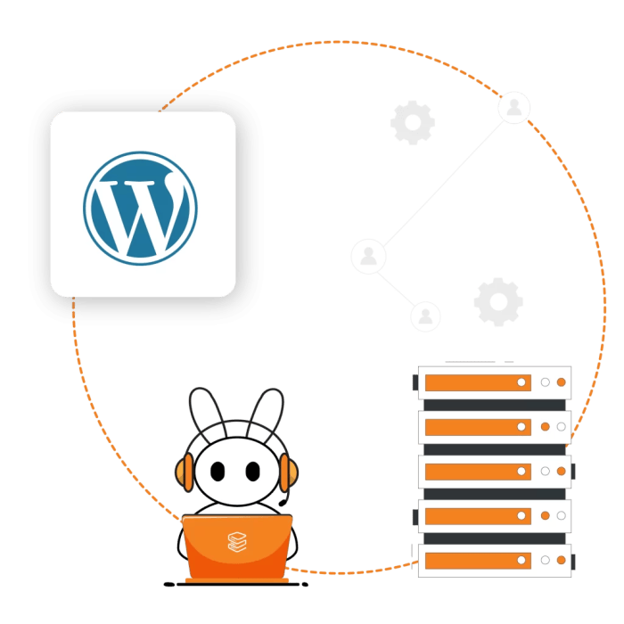 Wordpress management services